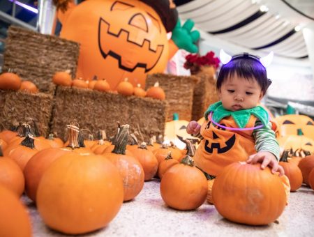 Spooky Halloween Activities in Charlotte