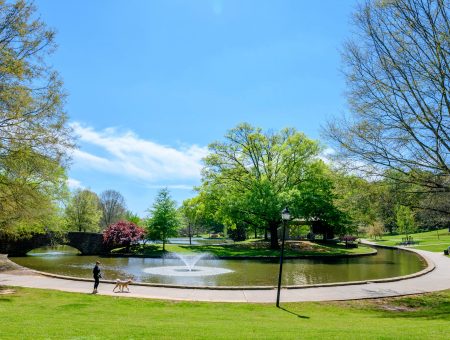Take the Scenic Route with the CLT Trail Guide
