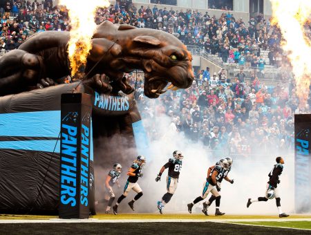 Get to Know Charlotte's Pro Sports