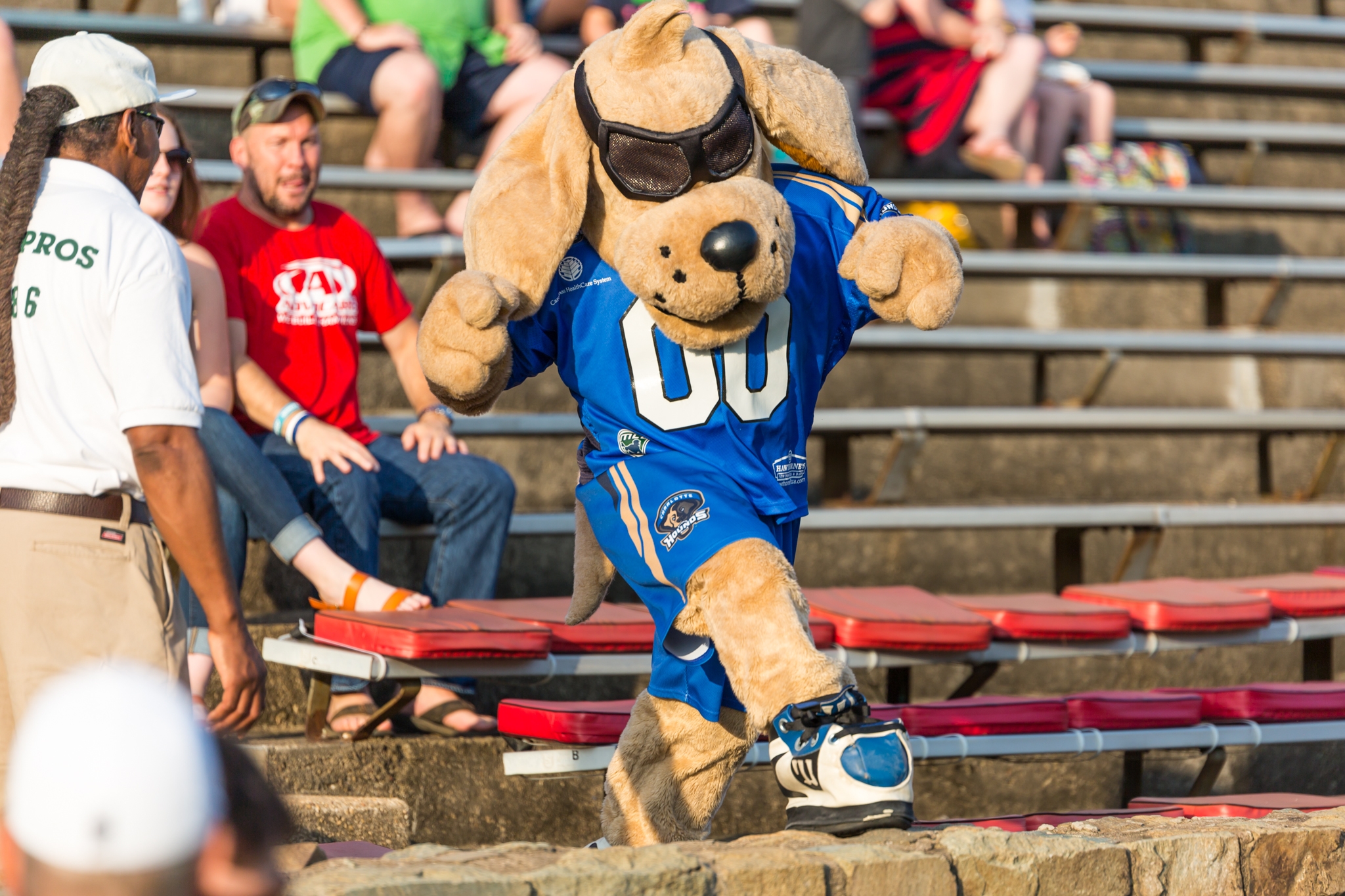 Charlotte Sports' Mascots