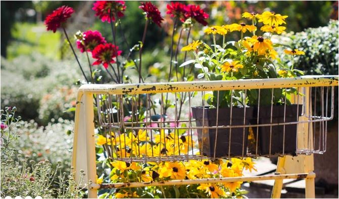 Southern Spring Home & Garden Show | Charlottes Got A Lot