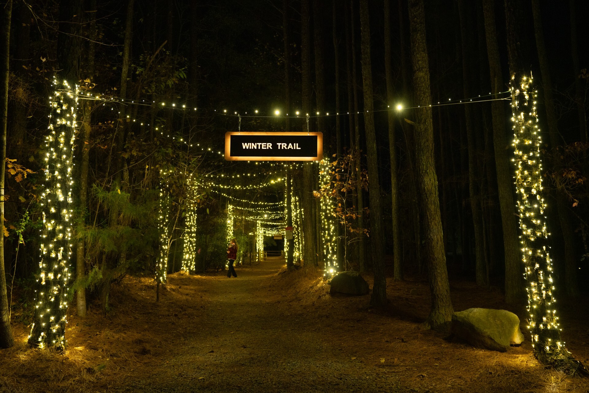 Winter in Charlotte | Things to Do in Charlotte