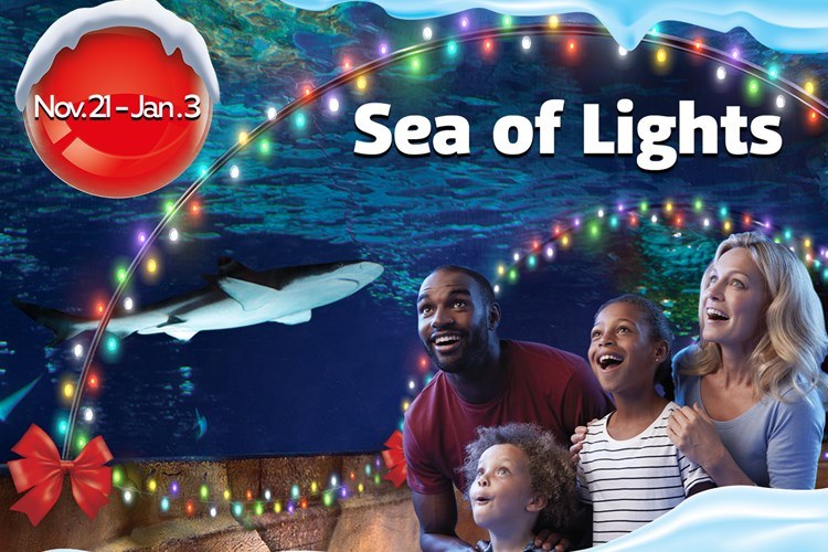 Sea of Lights at SEA LIFE Aquarium