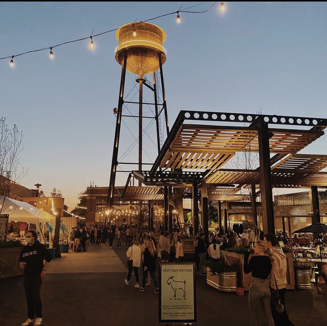 45 Things to Do in Charlotte | Winter Activities in Charlotte
