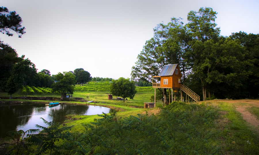 Treehouse Vineyards Charlottes Got A Lot