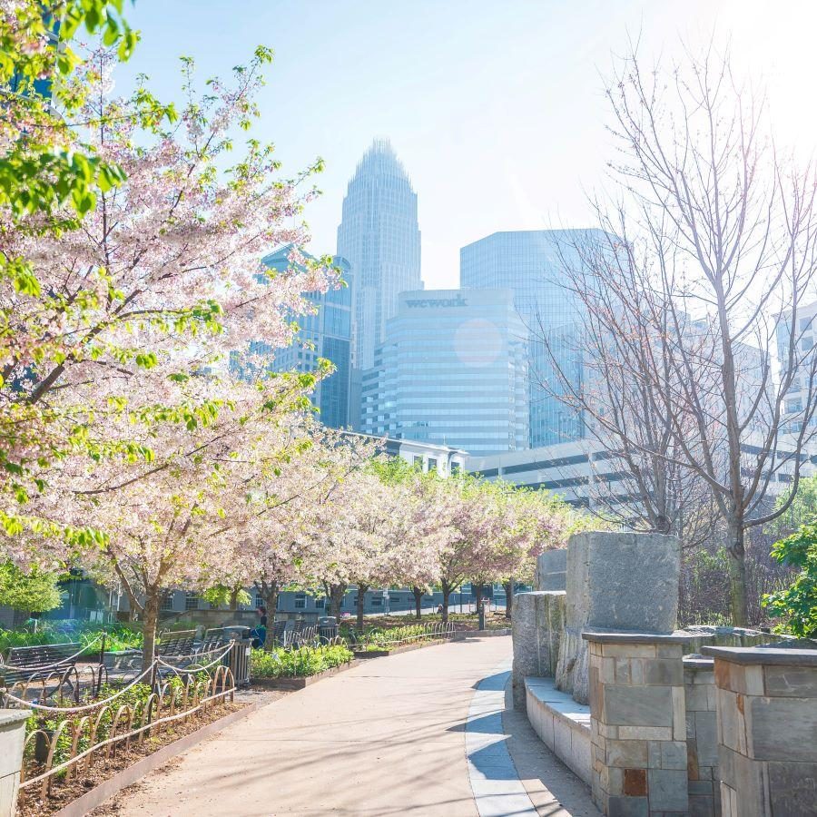 CLT Trail Guide