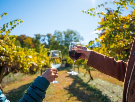 Must-Try Vineyards Near Charlotte
