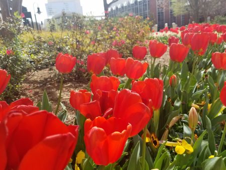 5 to Try: Earth Day