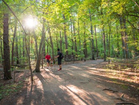 40 of the Hottest Things to Do this Summer