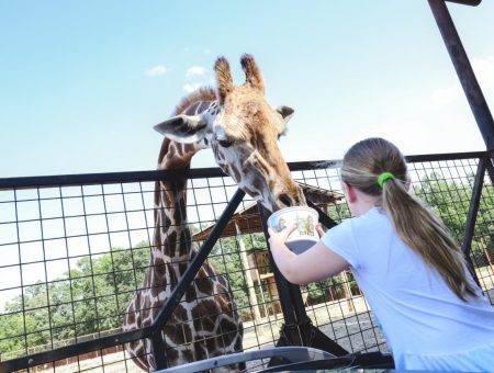 20 Picture-Perfect Day Trips in the Charlotte Region