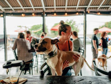 Where to Drink Beer with Your Dog in Charlotte