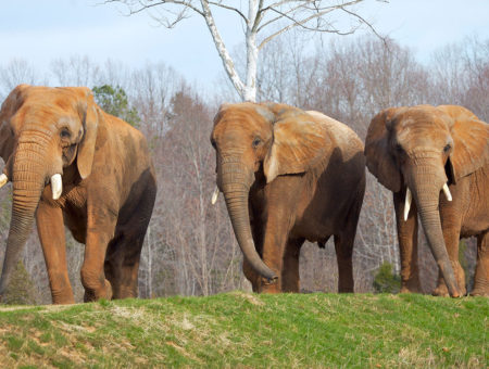 23 Picture-Perfect Day Trips in the Charlotte Region