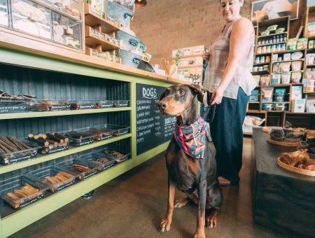 Unleash Charlotte's Dog-Friendly Offerings