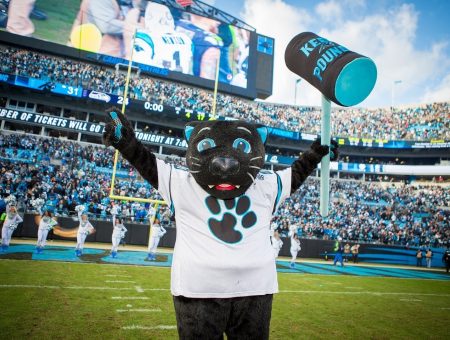 Charlotte Team Mascots: The Number One Fans