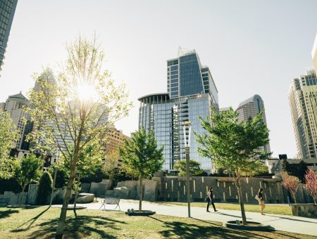 Support Local: How to Help Charlotte Businesses