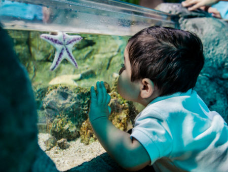 Family-Friendly Adventures in Charlotte