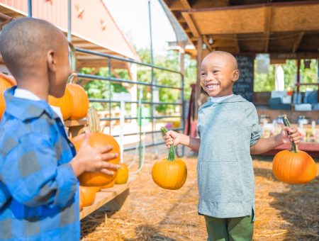 Pick Your Own Harvest in Charlotte