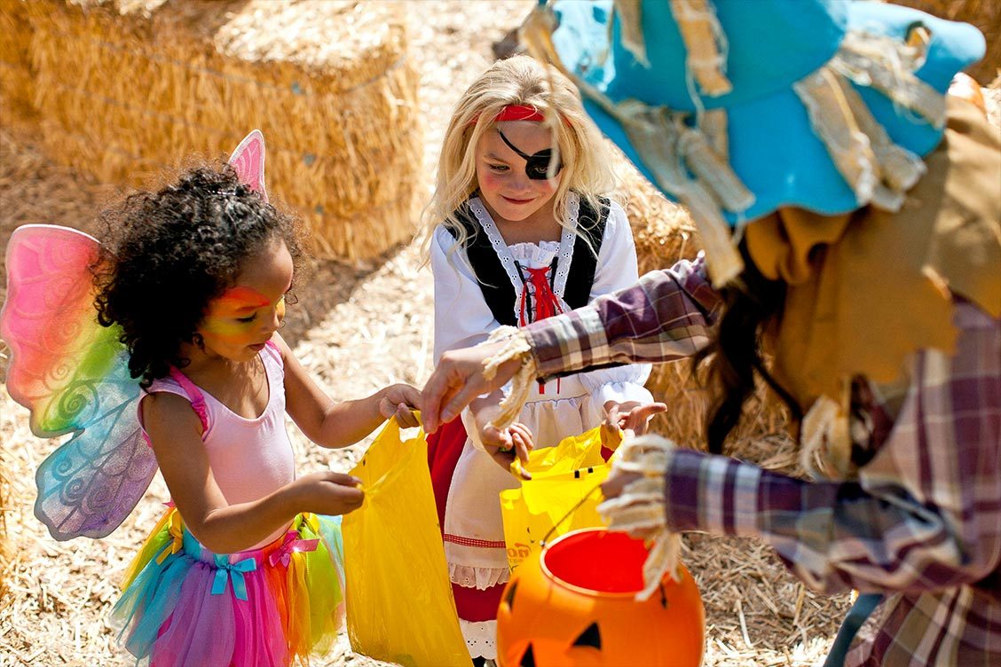 Halloween Events In Charlotte Things To Do For Halloween